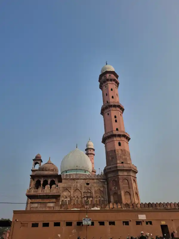 Bhopal Business Growth with SEO Impact Pro