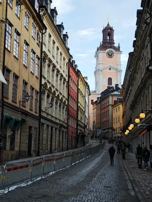 Charlotte Business Growth with SEO Impact Pro