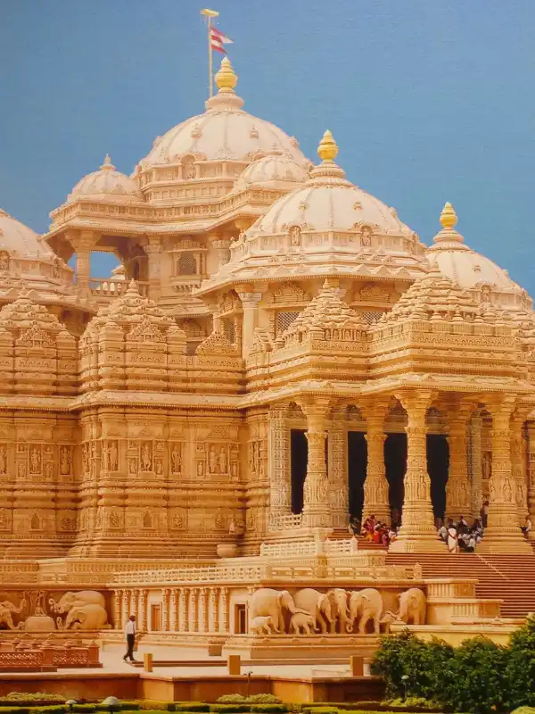 Delhi Business Growth with SEO Impact Pro