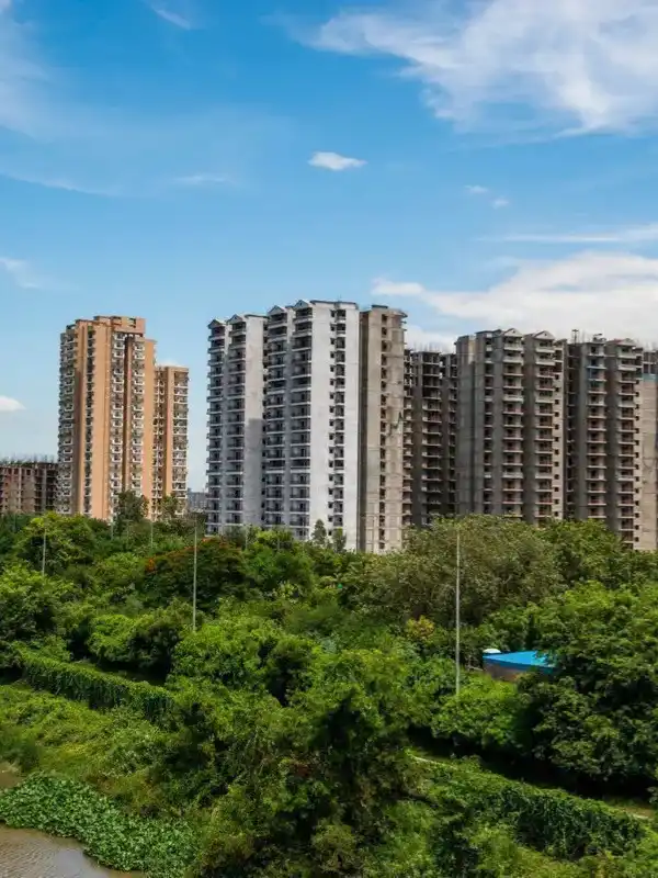 Ghaziabad Business Growth with SEO Impact Pro