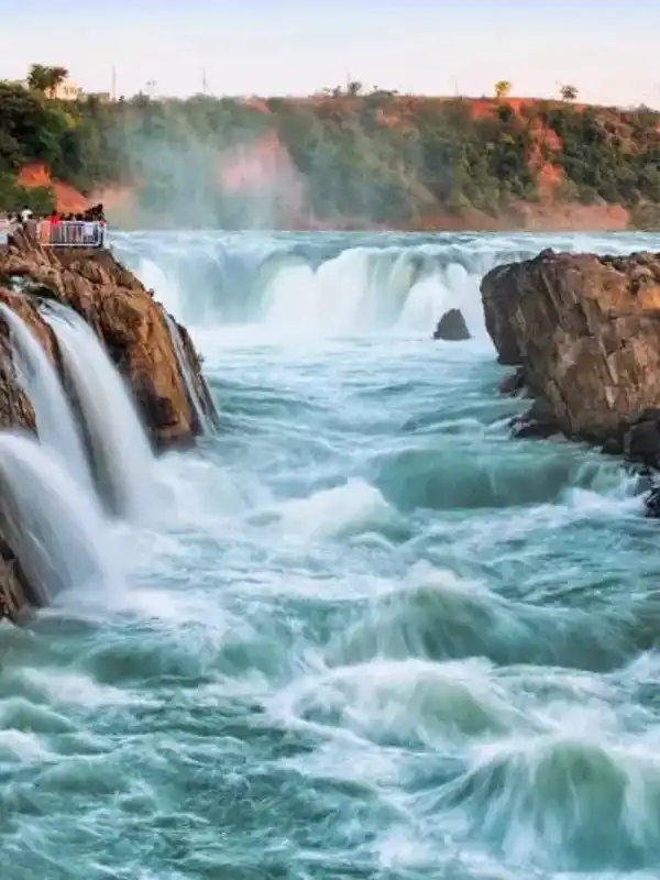 Jabalpur Business Growth with SEO Impact Pro