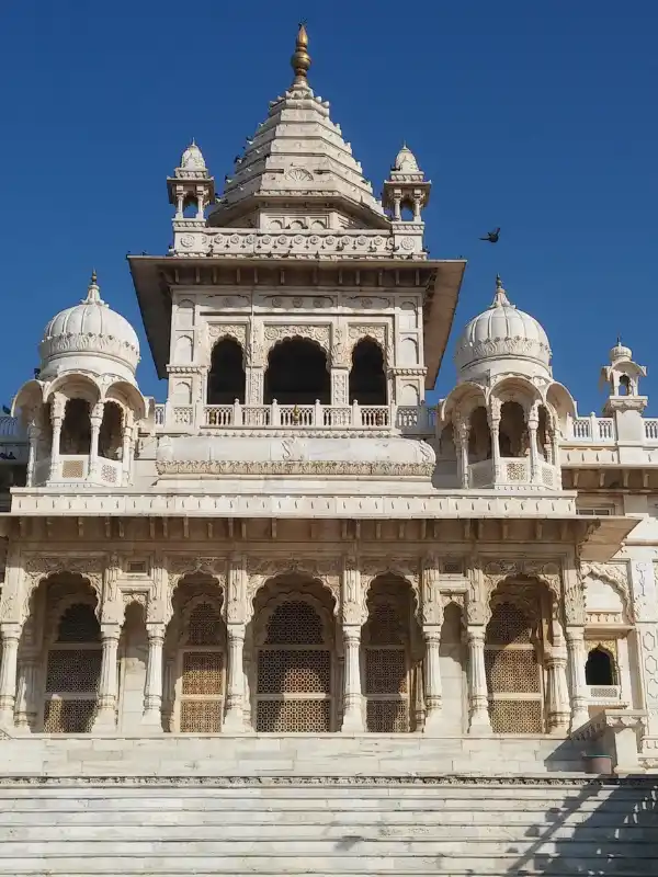 Jodhpur Business Growth with SEO Impact Pro