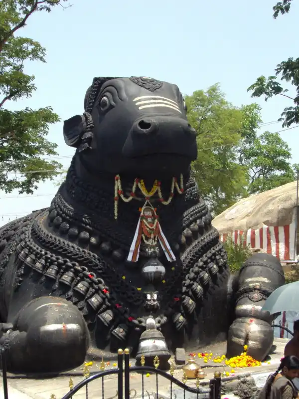 Mysore Business Growth with SEO Impact Pro