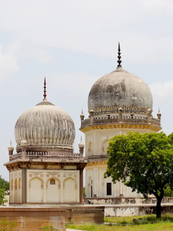 Nagpur Business Growth with SEO Impact Pro