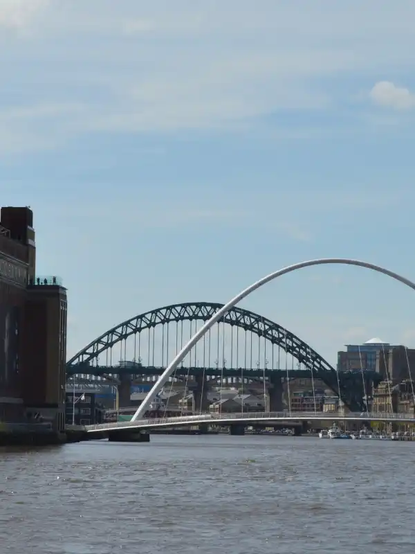 Newcastle Business Growth with SEO Impact Pro