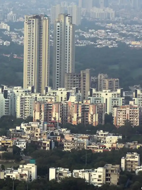 Noida Business Growth with SEO Impact Pro