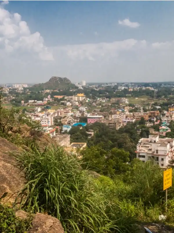 Ranchi Business Growth with SEO Impact Pro