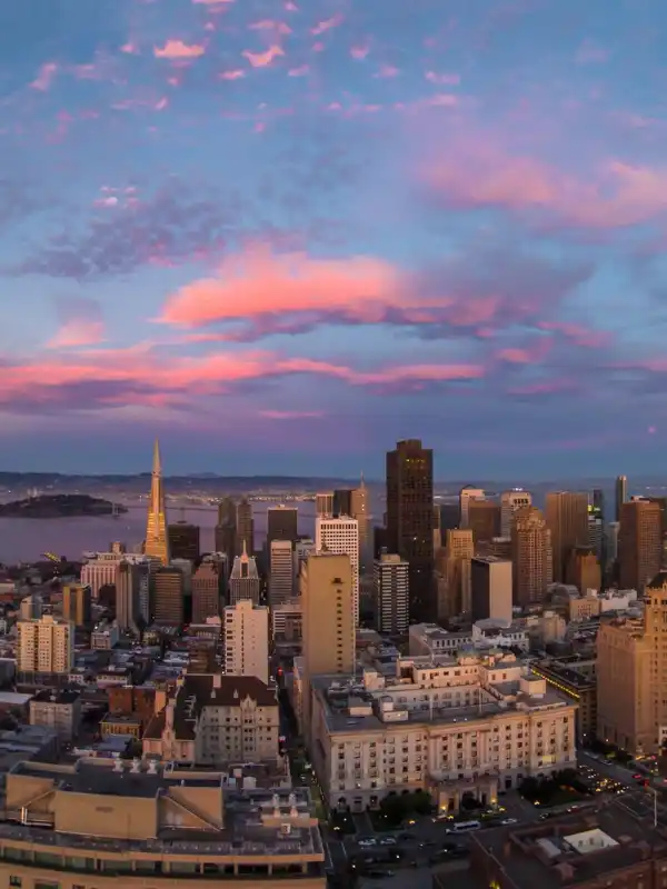 San Antonio Business Growth with SEO Impact Pro