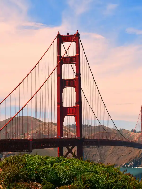 San Fransisco Business Growth with SEO Impact Pro