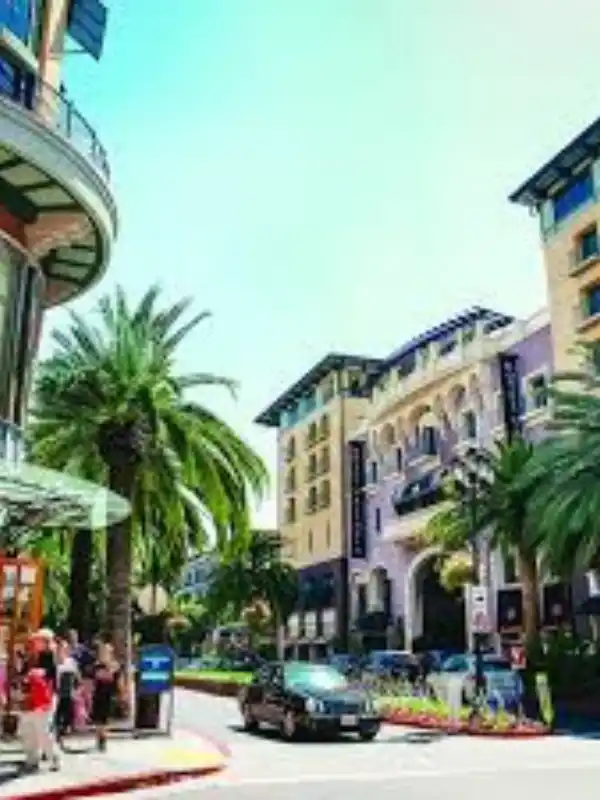 San Jose Business Growth with SEO Impact Pro