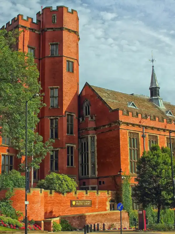 Sheffield Business Growth with SEO Impact Pro