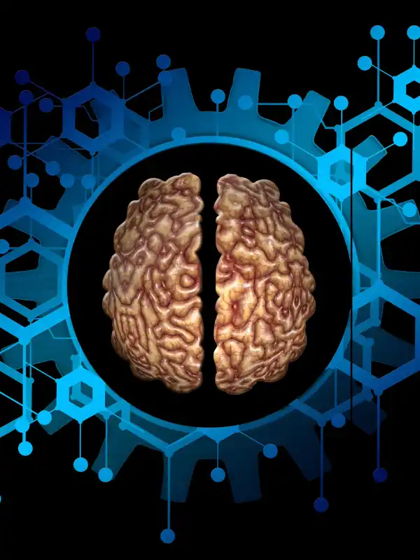 Toronto Business Growth with SEO Impact Pro