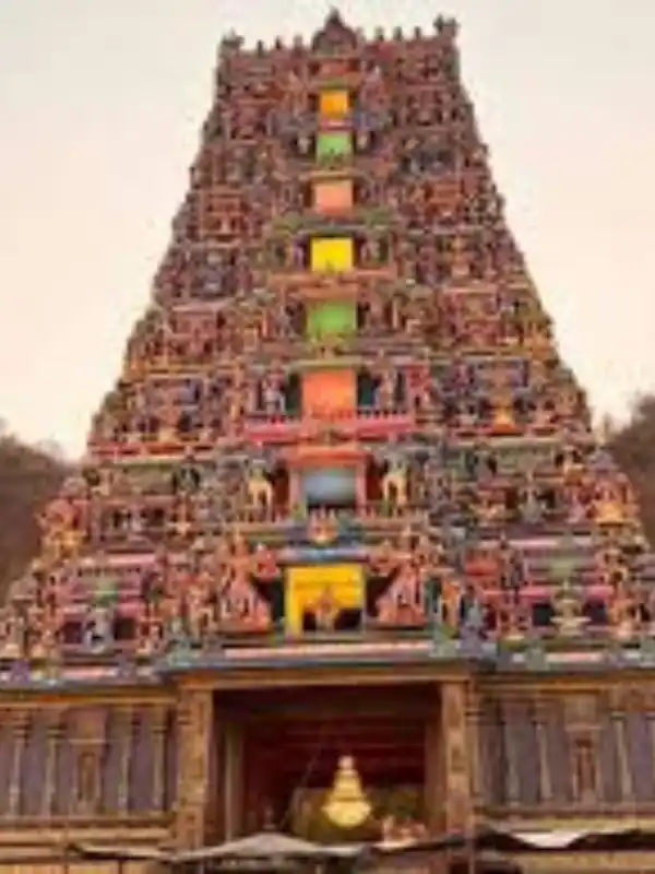 Vijayawada Business Growth with SEO Impact Pro