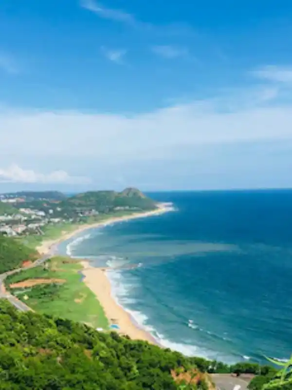 Visakhapatnam Business Growth with SEO Impact Pro