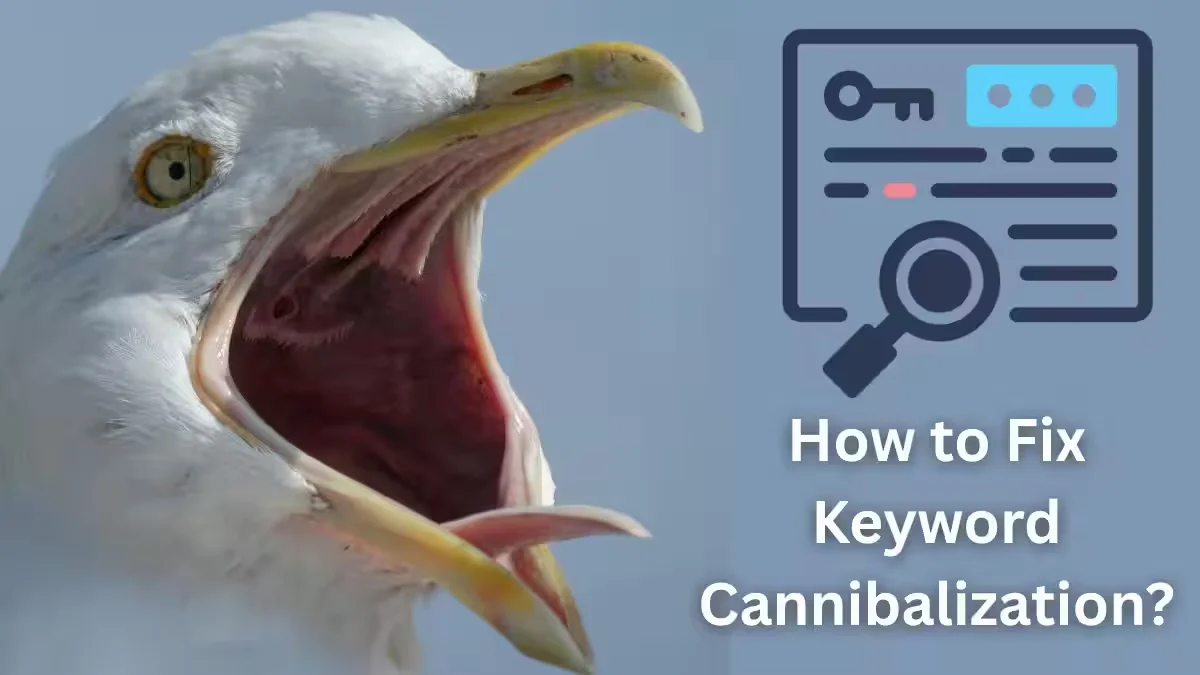 Keyword Cannibalization: How to Detect and Fix It