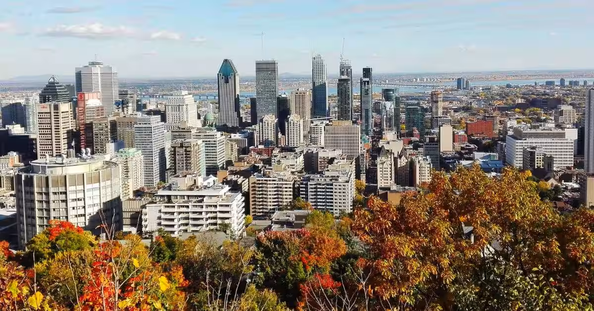 Affordable SEO Company in Montreal